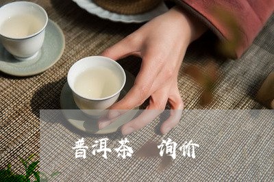 普洱茶 询价/2023042640194